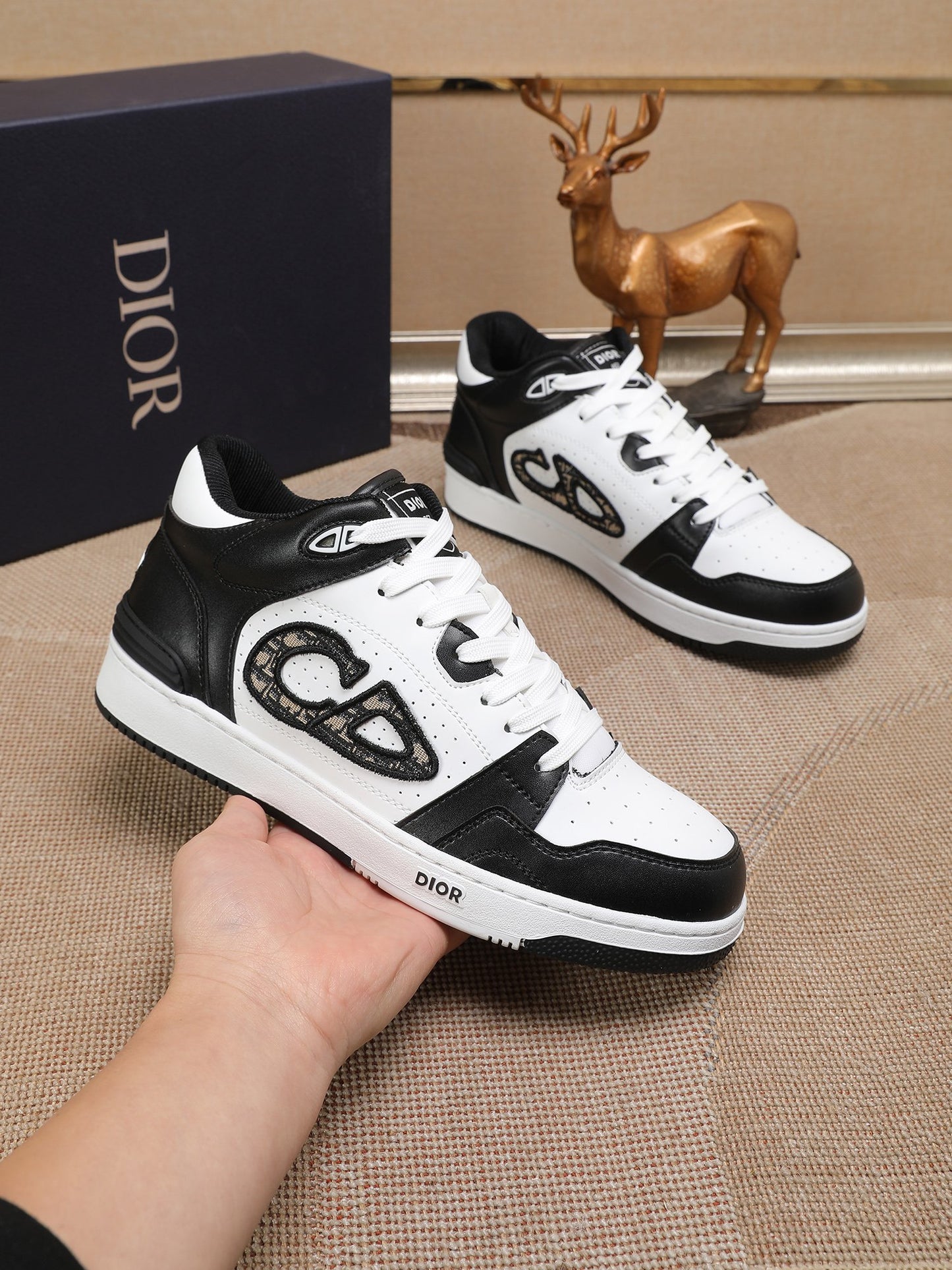 Tenis dior